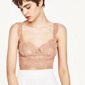 NWT Zara lace crop top